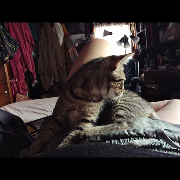 PSA : My Furry Friends - Picture 5 of 12